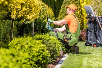 Contrats d'entretien : déduire l'entretien de jardin de vos impôts à Marcq-en-Baroeul